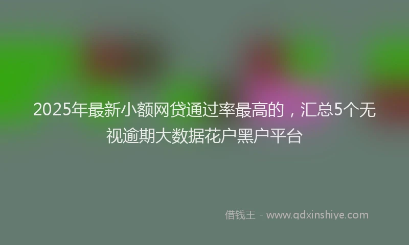 2025年最新小额网贷通过率最高的，汇总5个无视逾期大数据花户黑户平台