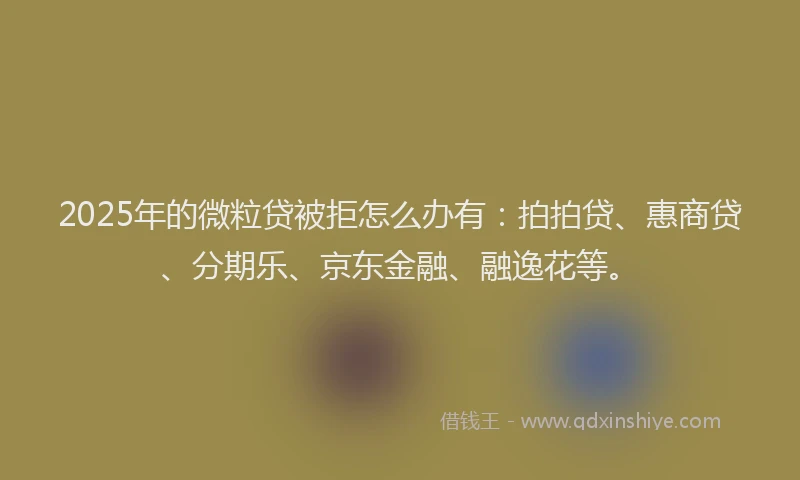2025年的微粒贷被拒怎么办有：拍拍贷、惠商贷、分期乐、京东金融、融逸花等。