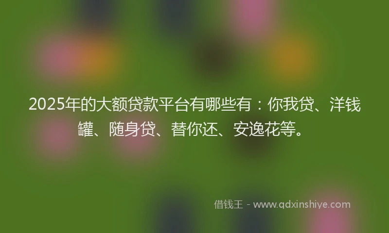 2025年的大额贷款平台有哪些有：你我贷、洋钱罐、随身贷、替你还、安逸花等。