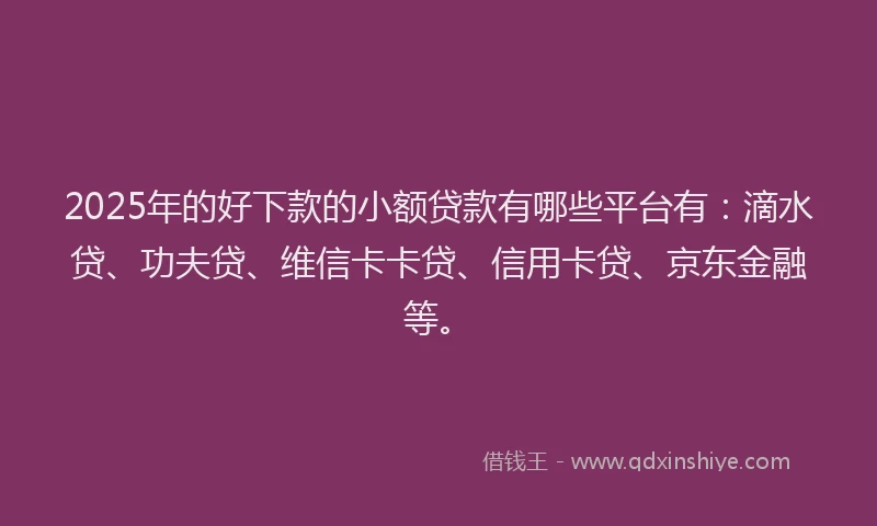 2025年的好下款的小额贷款有哪些平台有：滴水贷、功夫贷、维信卡卡贷、信用卡贷、京东金融等。