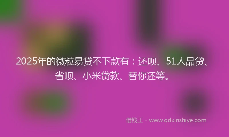 2025年的微粒易贷不下款有：还呗、51人品贷、省呗、小米贷款、替你还等。