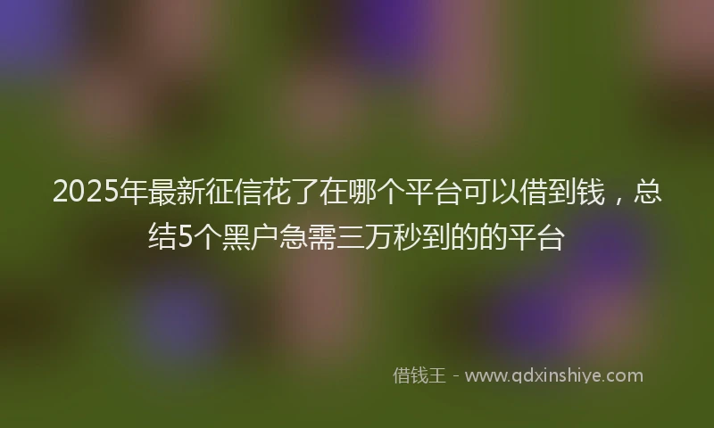 2025年最新征信花了在哪个平台可以借到钱，总结5个黑户急需三万秒到的的平台