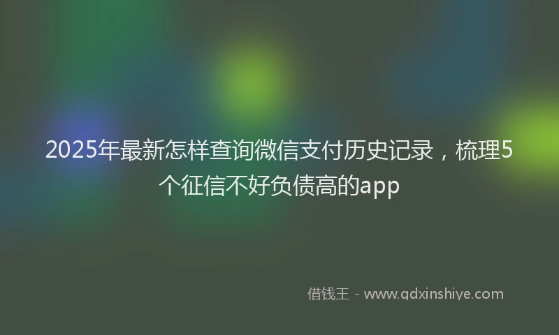 2025年最新怎样查询微信支付历史记录，梳理5个征信不好负债高的app