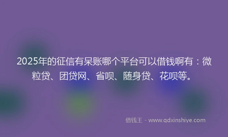 2025年的征信有呆账哪个平台可以借钱啊有：微粒贷、团贷网、省呗、随身贷、花呗等。
