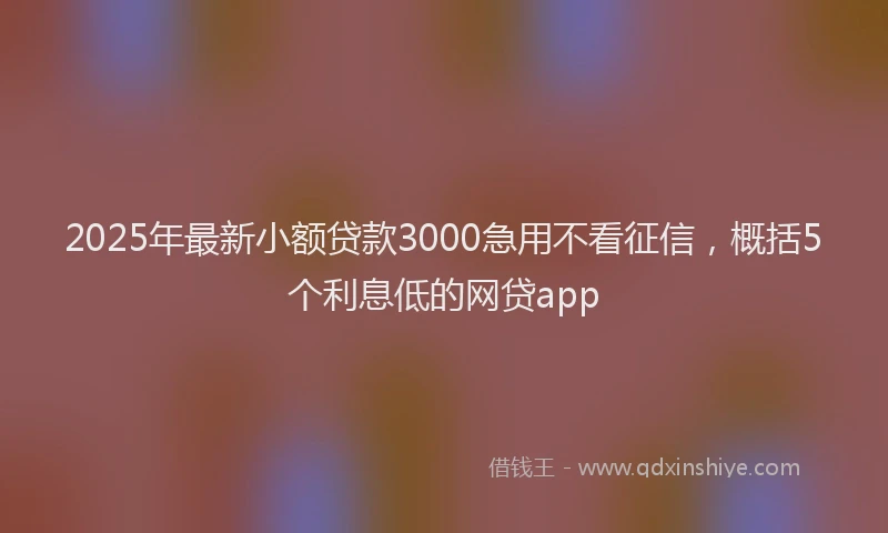 2025年最新小额贷款3000急用不看征信，概括5个利息低的网贷app