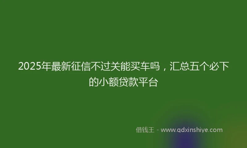 2025年最新征信不过关能买车吗，汇总五个必下的小额贷款平台