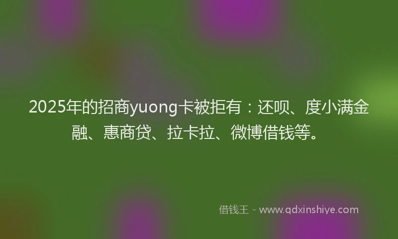 2025年的招商yuong卡被拒有：还呗、度小满金融、惠商贷、拉卡拉、微博借钱等。