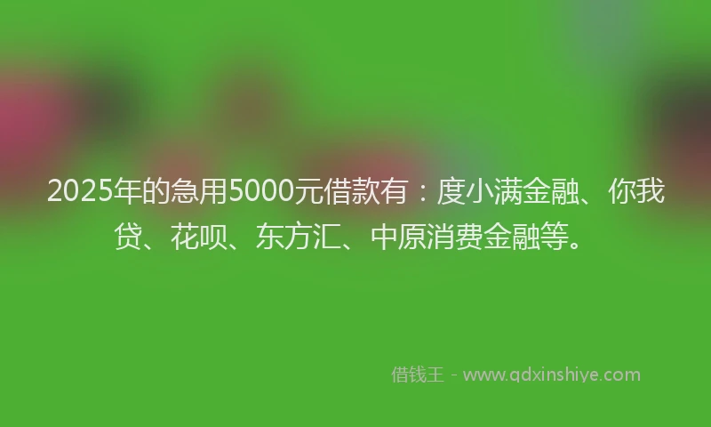2025年的急用5000元借款有：度小满金融、你我贷、花呗、东方汇、中原消费金融等。