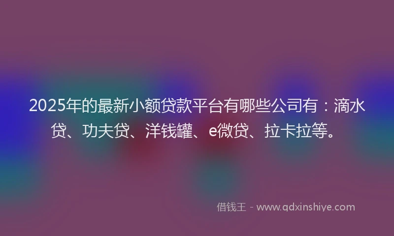2025年的最新小额贷款平台有哪些公司有：滴水贷、功夫贷、洋钱罐、e微贷、拉卡拉等。