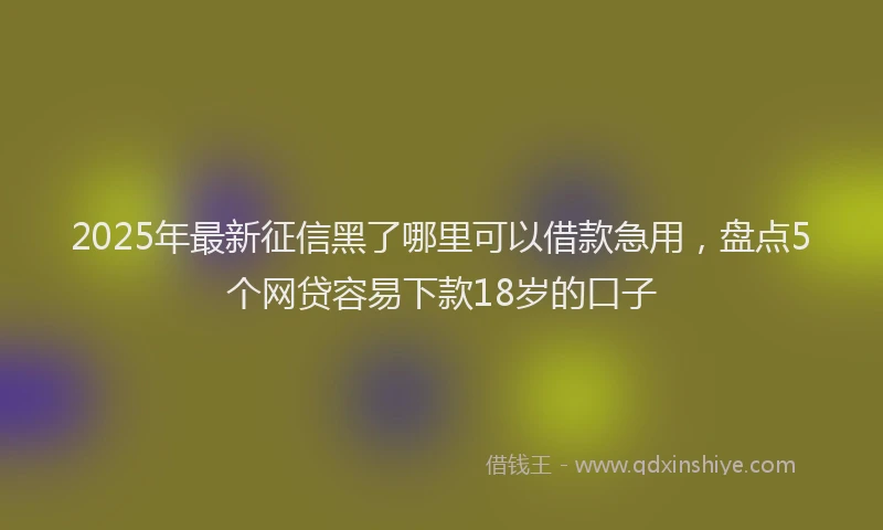 2025年最新征信黑了哪里可以借款急用，盘点5个网贷容易下款18岁的口子