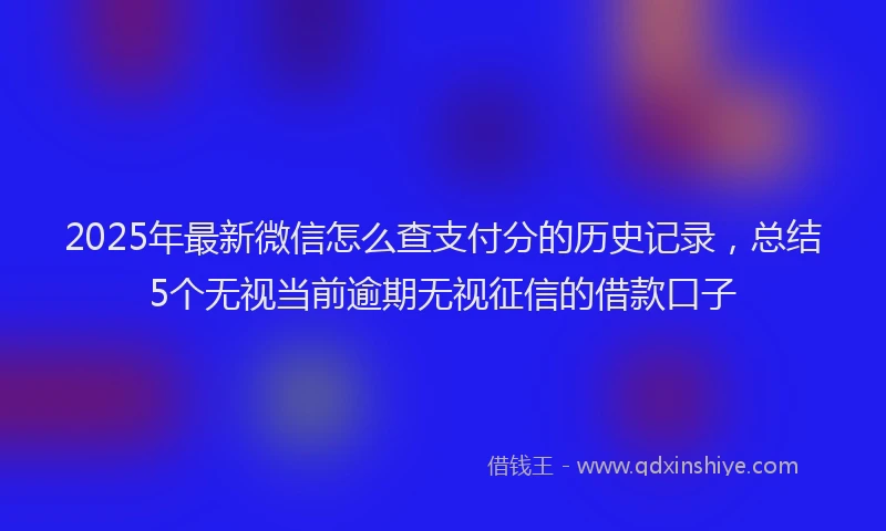 2025年最新微信怎么查支付分的历史记录，总结5个无视当前逾期无视征信的借款口子