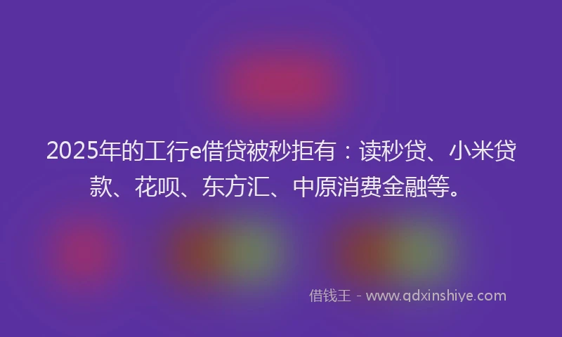 2025年的工行e借贷被秒拒有：读秒贷、小米贷款、花呗、东方汇、中原消费金融等。