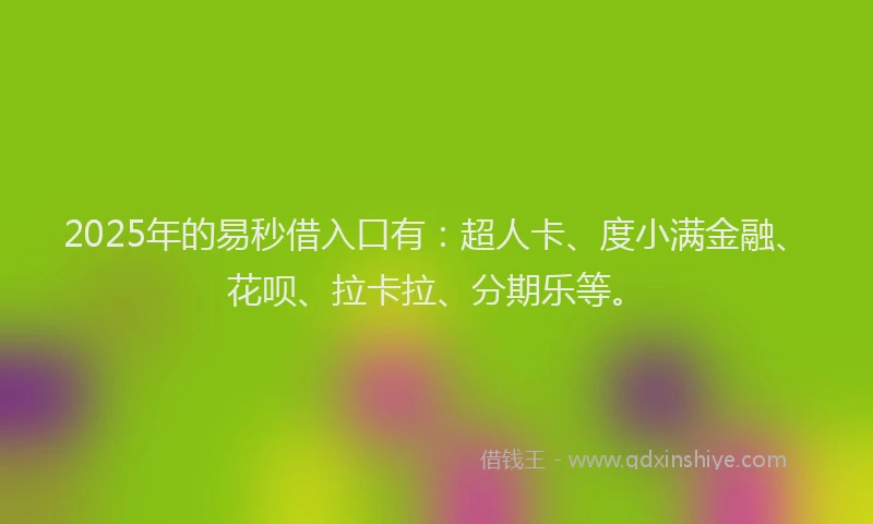 2025年的易秒借入口有：超人卡、度小满金融、花呗、拉卡拉、分期乐等。