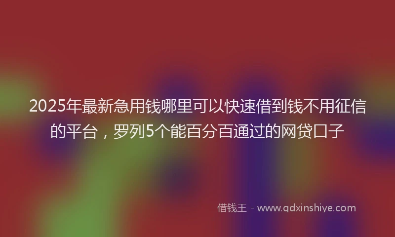 2025年最新急用钱哪里可以快速借到钱不用征信的平台，罗列5个能百分百通过的网贷口子