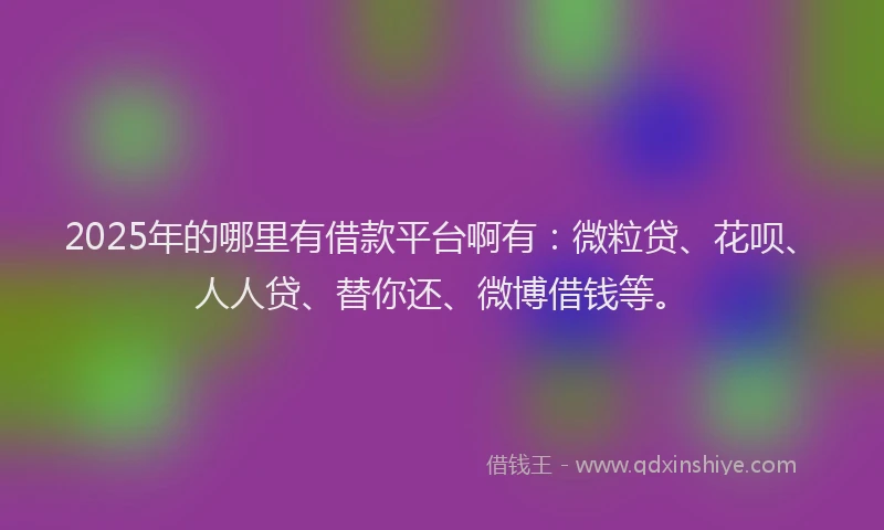 2025年的哪里有借款平台啊有：微粒贷、花呗、人人贷、替你还、微博借钱等。
