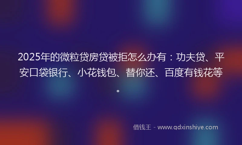 2025年的微粒贷房贷被拒怎么办有：功夫贷、平安口袋银行、小花钱包、替你还、百度有钱花等。