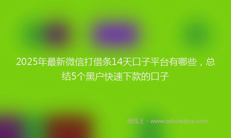 2025年最新微信打借条14天口子平台有哪些，总结5个黑户快速下款的口子