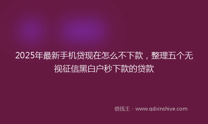 2025年最新手机贷现在怎么不下款，整理五个无视征信黑白户秒下款的贷款