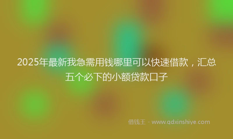 2025年最新我急需用钱哪里可以快速借款，汇总五个必下的小额贷款口子