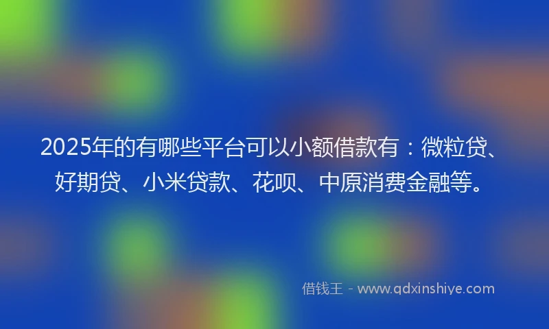 2025年的有哪些平台可以小额借款有：微粒贷、好期贷、小米贷款、花呗、中原消费金融等。