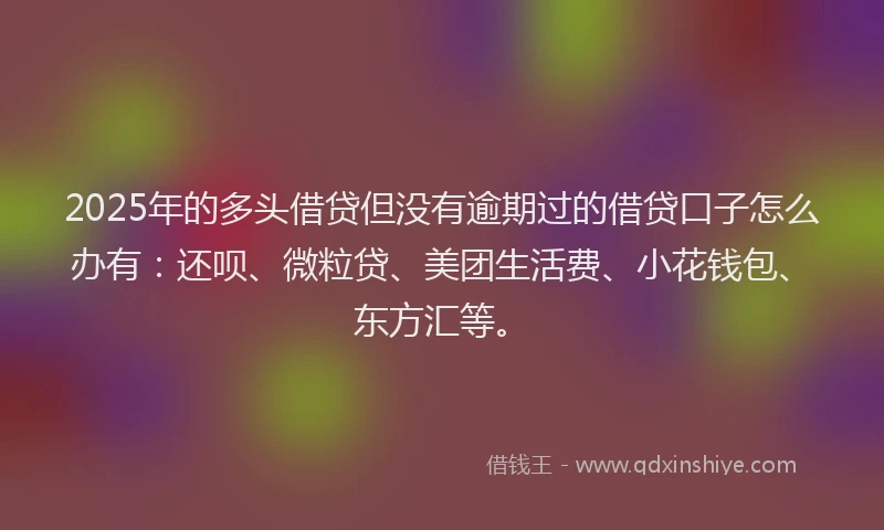 2025年的多头借贷但没有逾期过的借贷口子怎么办有：还呗、微粒贷、美团生活费、小花钱包、东方汇等。