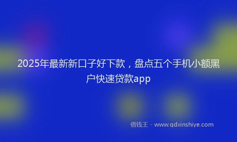 2025年最新新口子好下款，盘点五个手机小额黑户快速贷款app
