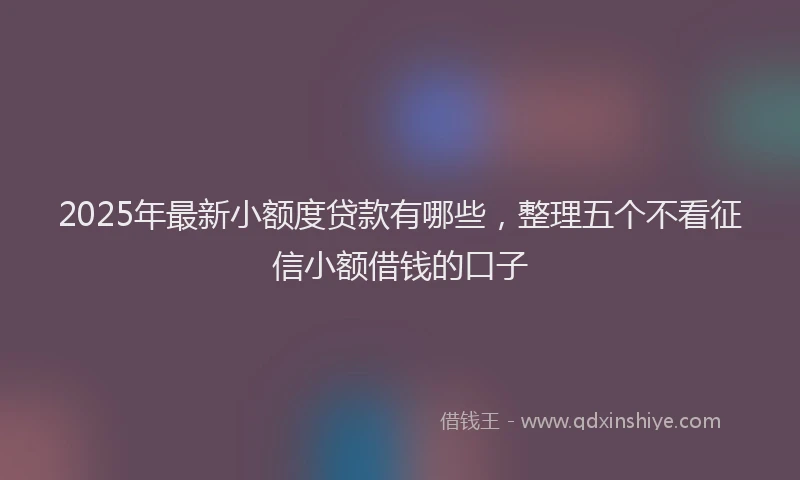 2025年最新小额度贷款有哪些，整理五个不看征信小额借钱的口子