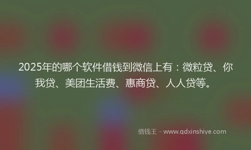 2025年的哪个软件借钱到微信上有：微粒贷、你我贷、美团生活费、惠商贷、人人贷等。