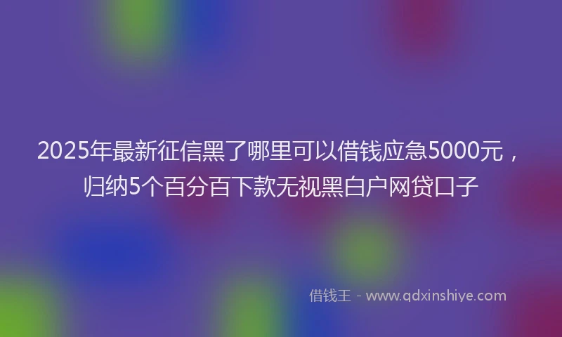 2025年最新征信黑了哪里可以借钱应急5000元，归纳5个百分百下款无视黑白户网贷口子