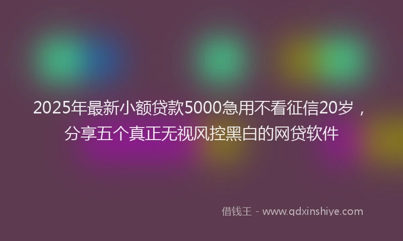 2025年最新小额贷款5000急用不看征信20岁，分享五个真正无视风控黑白的网贷软件