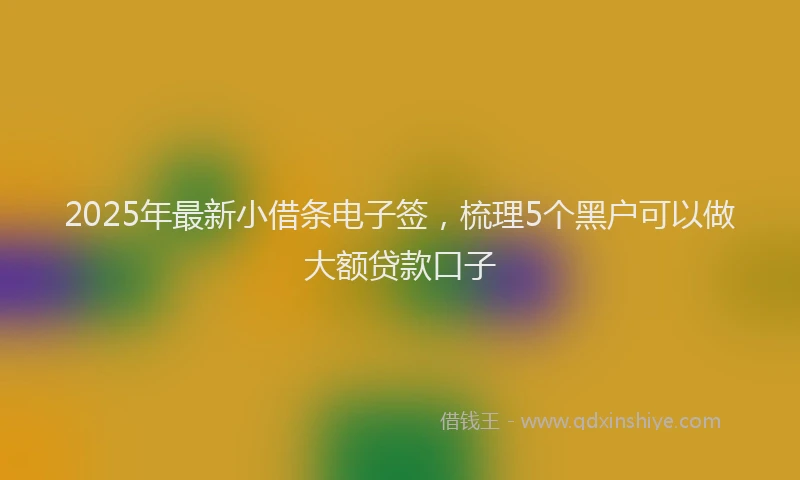2025年最新小借条电子签，梳理5个黑户可以做大额贷款口子