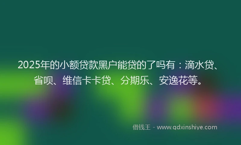 2025年的小额贷款黑户能贷的了吗有：滴水贷、省呗、维信卡卡贷、分期乐、安逸花等。