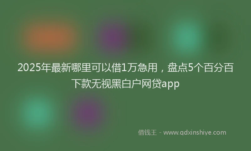 2025年最新哪里可以借1万急用，盘点5个百分百下款无视黑白户网贷app