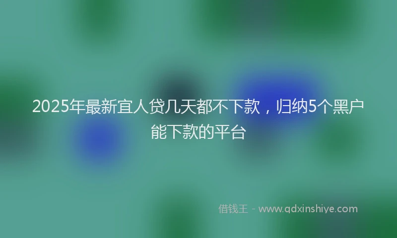 2025年最新宜人贷几天都不下款，归纳5个黑户能下款的平台