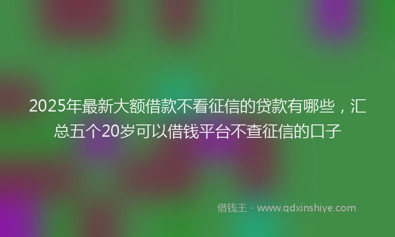 2025年最新大额借款不看征信的贷款有哪些，汇总五个20岁可以借钱平台不查征信的口子
