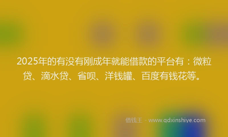 2025年的有没有刚成年就能借款的平台有：微粒贷、滴水贷、省呗、洋钱罐、百度有钱花等。