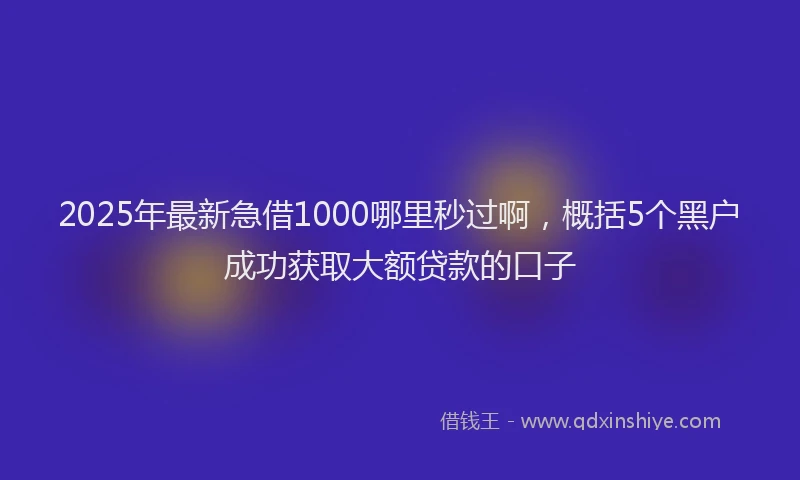 2025年最新急借1000哪里秒过啊，概括5个黑户成功获取大额贷款的口子