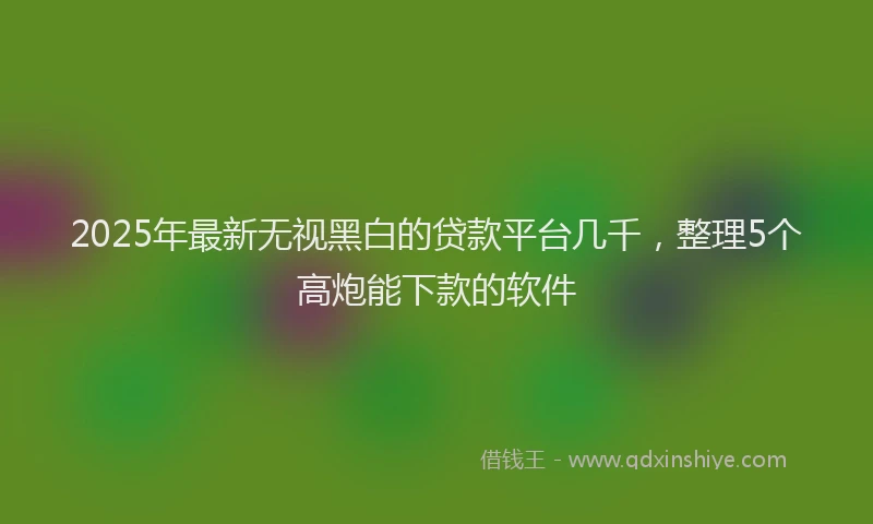 2025年最新无视黑白的贷款平台几千，整理5个高炮能下款的软件