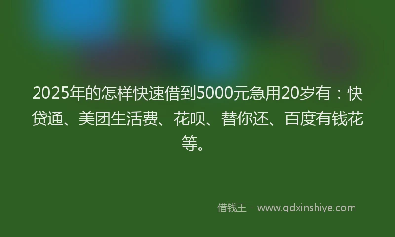 2025年的怎样快速借到5000元急用20岁有：快贷通、美团生活费、花呗、替你还、百度有钱花等。