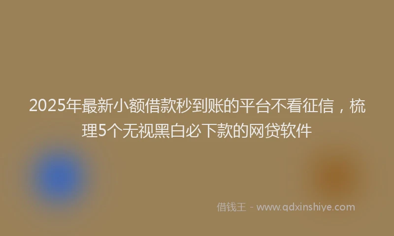 2025年最新小额借款秒到账的平台不看征信，梳理5个无视黑白必下款的网贷软件