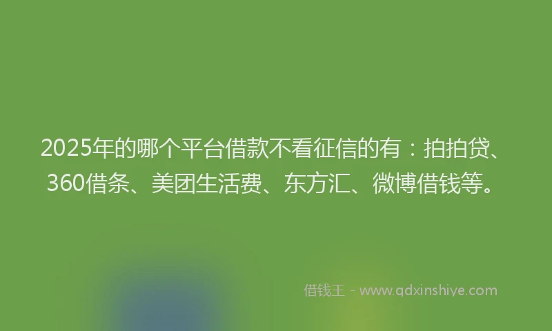 2025年的哪个平台借款不看征信的有：拍拍贷、360借条、美团生活费、东方汇、微博借钱等。