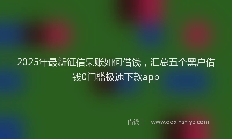 2025年最新征信呆账如何借钱，汇总五个黑户借钱0门槛极速下款app