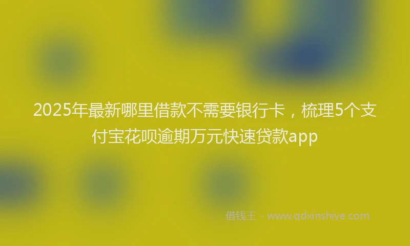 2025年最新哪里借款不需要银行卡，梳理5个支付宝花呗逾期万元快速贷款app