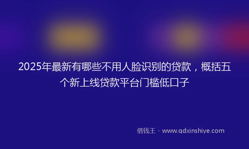 2025年最新有哪些不用人脸识别的贷款，概括五个新上线贷款平台门槛低口子