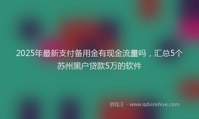 2025年最新支付备用金有现金流量吗，汇总5个苏州黑户贷款5万的软件