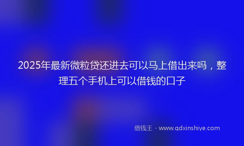 2025年最新微粒贷还进去可以马上借出来吗，整理五个手机上可以借钱的口子