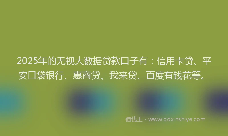 2025年的无视大数据贷款口子有：信用卡贷、平安口袋银行、惠商贷、我来贷、百度有钱花等。