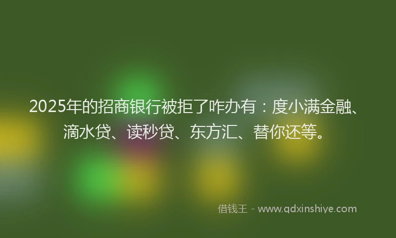 2025年的招商银行被拒了咋办有：度小满金融、滴水贷、读秒贷、东方汇、替你还等。