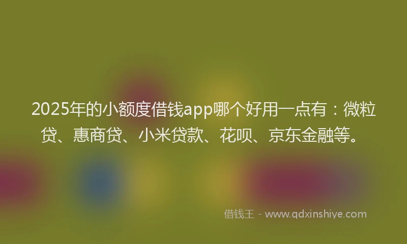 2025年的小额度借钱app哪个好用一点有：微粒贷、惠商贷、小米贷款、花呗、京东金融等。