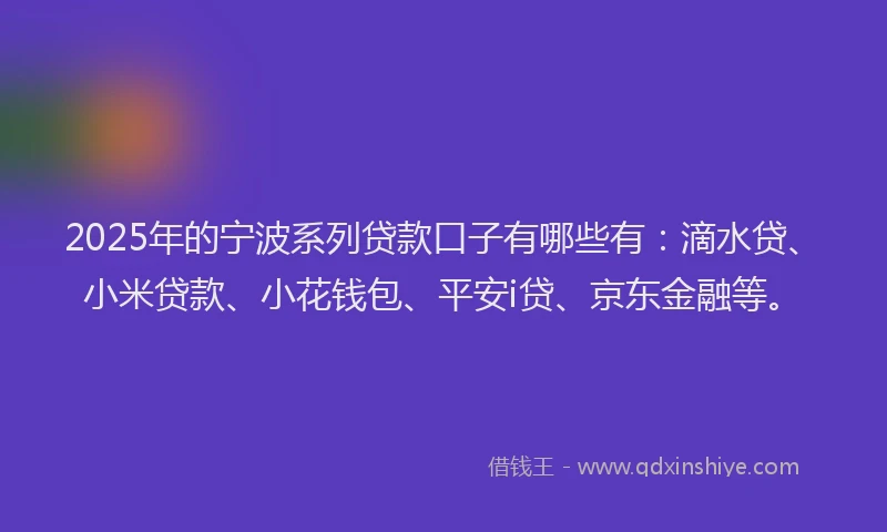 2025年的宁波系列贷款口子有哪些有：滴水贷、小米贷款、小花钱包、平安i贷、京东金融等。